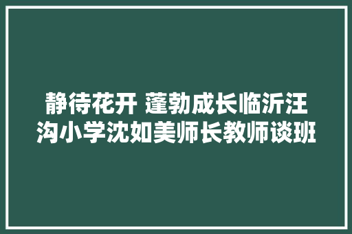 静待花开 蓬勃成长临沂汪沟小学沈如美师长教师谈班级育人治理方略 静待花开 蓬勃成长临沂汪沟小学沈如美师长教师谈班级育人治理方略