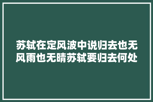 苏轼在定风波中说归去也无风雨也无晴苏轼要归去何处
