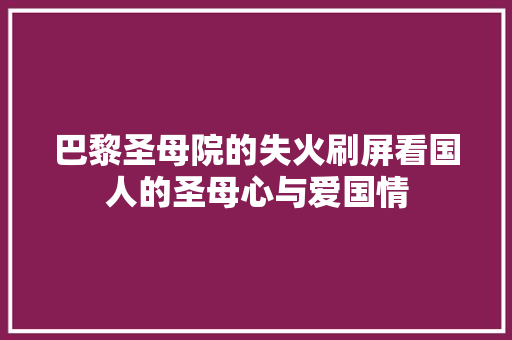 巴黎圣母院的失火刷屏看国人的圣母心与爱国情 巴黎圣母院的失火刷屏看国人的圣母心与爱国情