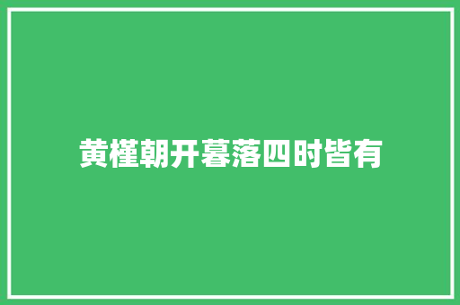 黄槿朝开暮落四时皆有