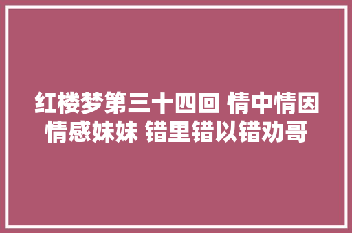 红楼梦第三十四回 情中情因情感妹妹 错里错以错劝哥哥