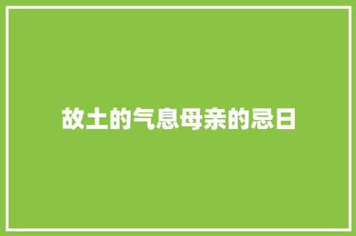 故土的气息母亲的忌日