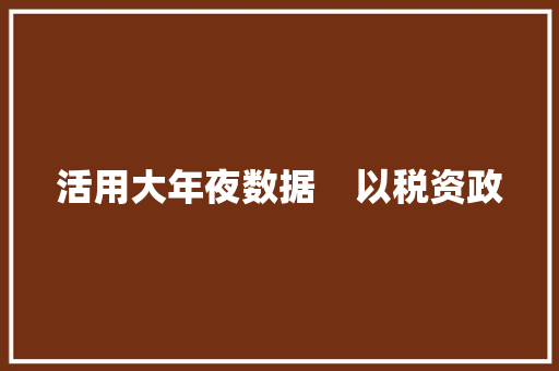 活用大年夜数据    以税资政