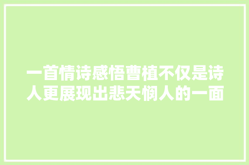 一首情诗感悟曹植不仅是诗人更展现出悲天悯人的一面