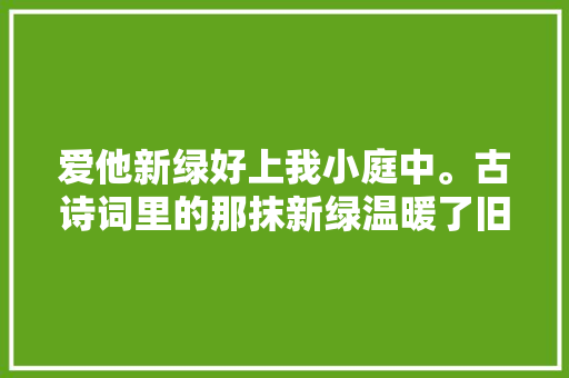 爱他新绿好上我小庭中。古诗词里的那抹新绿温暖了旧时光