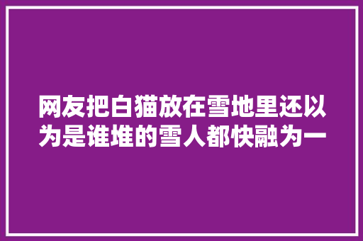 网友把白猫放在雪地里还以为是谁堆的雪人都快融为一体了呢