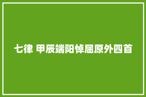 七律 甲辰端阳悼屈原外四首