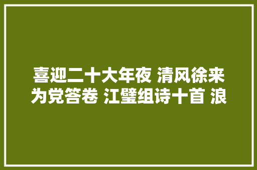 喜迎二十大年夜 清风徐来为党答卷 江璧组诗十首 浪花文艺何江璧
