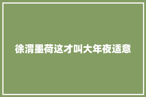 徐渭墨荷这才叫大年夜适意