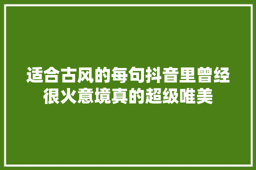 适合古风的每句抖音里曾经很火意境真的超级唯美