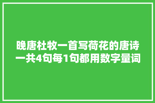 晚唐杜牧一首写荷花的唐诗一共4句每1句都用数字量词开首