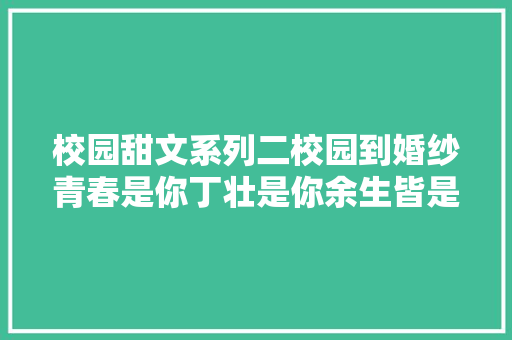 校园甜文系列二校园到婚纱青春是你丁壮是你余生皆是你