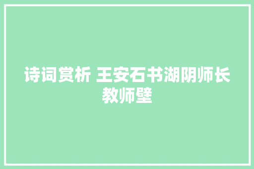 诗词赏析 王安石书湖阴师长教师壁