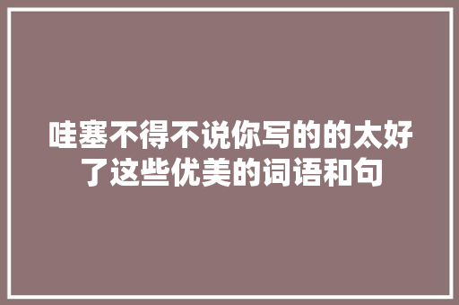 哇塞不得不说你写的的太好了这些优美的词语和句