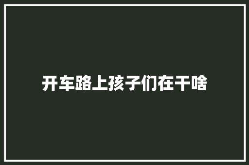 开车路上孩子们在干啥