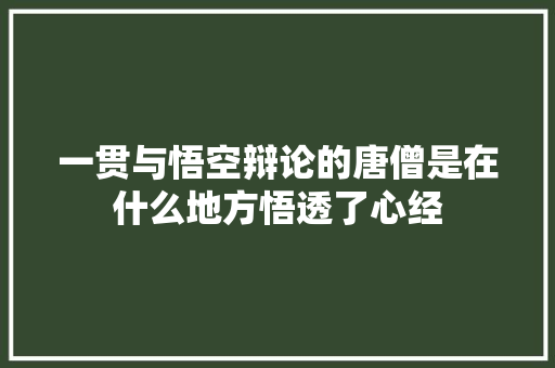 一贯与悟空辩论的唐僧是在什么地方悟透了心经