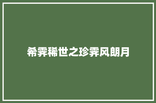 希霁稀世之珍霁风朗月