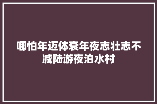 哪怕年迈体衰年夜志壮志不减陆游夜泊水村