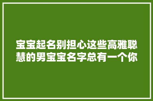 宝宝起名别担心这些高雅聪慧的男宝宝名字总有一个你会喜好