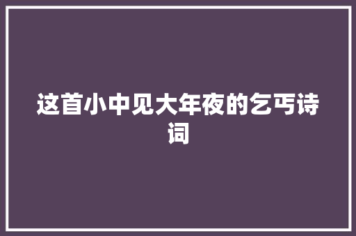 这首小中见大年夜的乞丐诗词