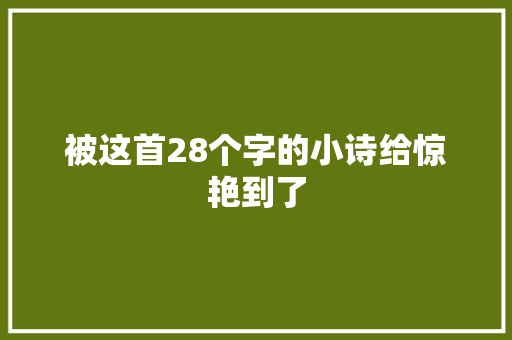 被这首28个字的小诗给惊艳到了