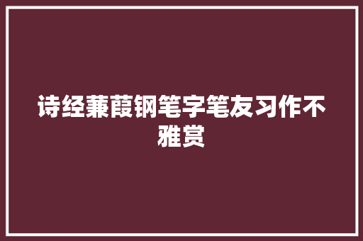 诗经蒹葭钢笔字笔友习作不雅赏