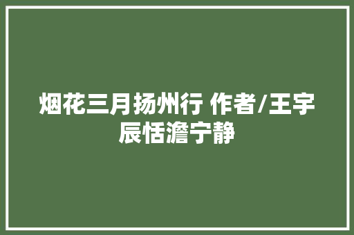 烟花三月扬州行 作者/王宇辰恬澹宁静