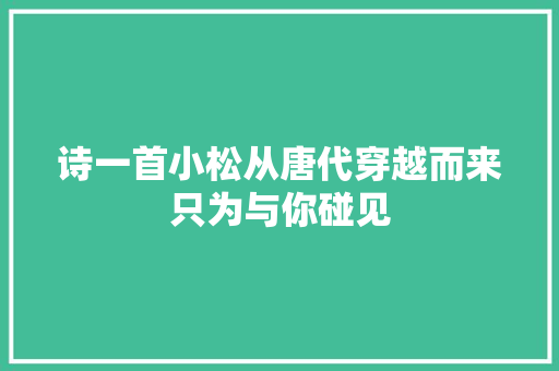 诗一首小松从唐代穿越而来只为与你碰见