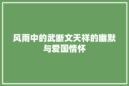 风雨中的武断文天祥的幽默与爱国情怀