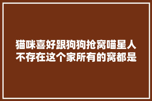 猫咪喜好跟狗狗抢窝喵星人不存在这个家所有的窝都是朕的