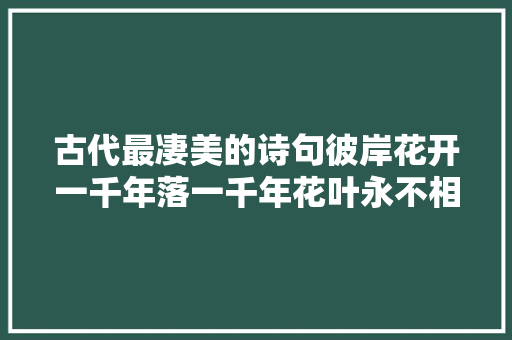 古代最凄美的诗句彼岸花开一千年落一千年花叶永不相见。