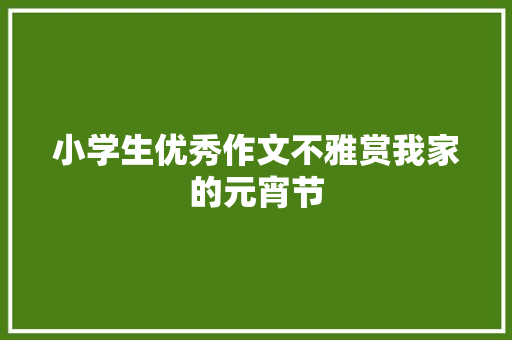 小学生优秀作文不雅赏我家的元宵节