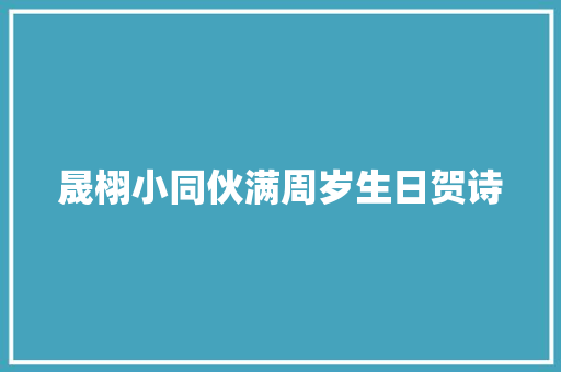 晟栩小同伙满周岁生日贺诗