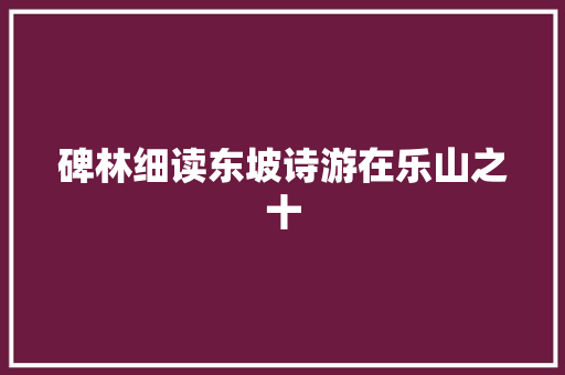 碑林细读东坡诗游在乐山之十