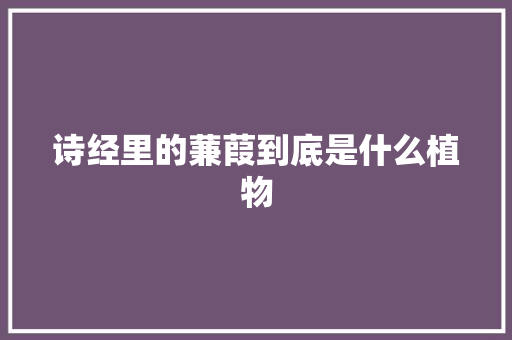 诗经里的蒹葭到底是什么植物