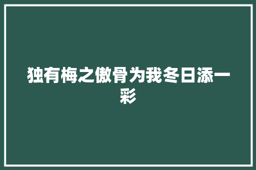 独有梅之傲骨为我冬日添一彩