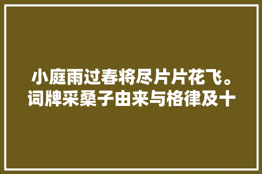 小庭雨过春将尽片片花飞。词牌采桑子由来与格律及十首经典作品