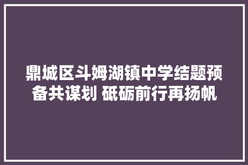 鼎城区斗姆湖镇中学结题预备共谋划 砥砺前行再扬帆