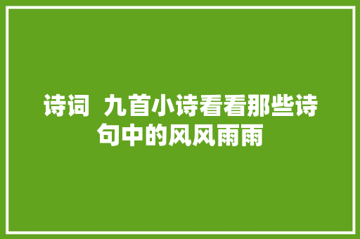 诗词  九首小诗看看那些诗句中的风风雨雨