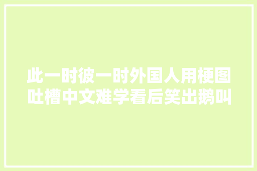 此一时彼一时外国人用梗图吐槽中文难学看后笑出鹅叫