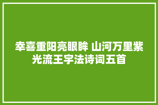 幸喜重阳亮眼眸 山河万里紫光流王宇法诗词五首