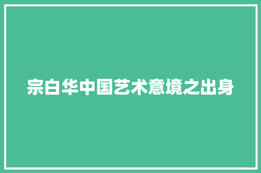 宗白华中国艺术意境之出身