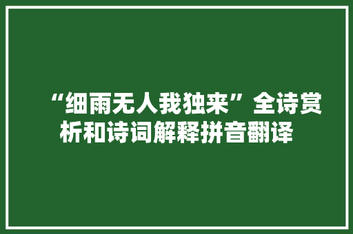 “细雨无人我独来”全诗赏析和诗词解释拼音翻译