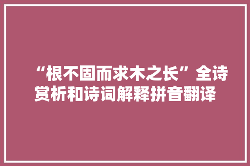 “根不固而求木之长”全诗赏析和诗词解释拼音翻译