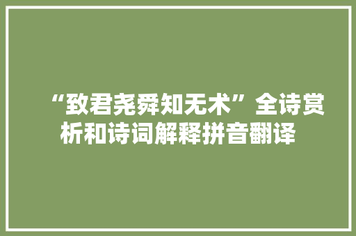 “致君尧舜知无术”全诗赏析和诗词解释拼音翻译