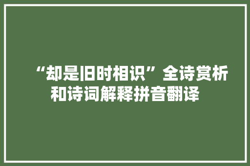 “却是旧时相识”全诗赏析和诗词解释拼音翻译