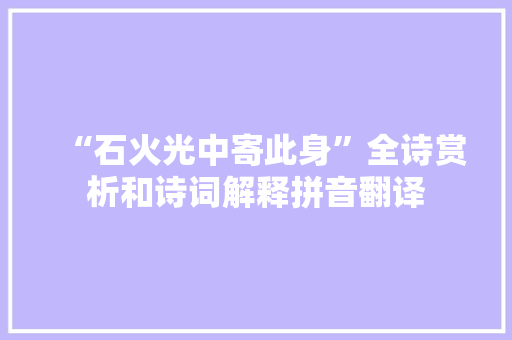 “石火光中寄此身”全诗赏析和诗词解释拼音翻译