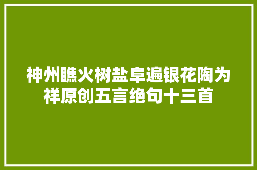 神州瞧火树盐阜遍银花陶为祥原创五言绝句十三首
