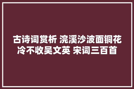 古诗词赏析 浣溪沙波面铜花冷不收吴文英 宋词三百首