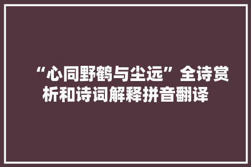 “心同野鹤与尘远”全诗赏析和诗词解释拼音翻译